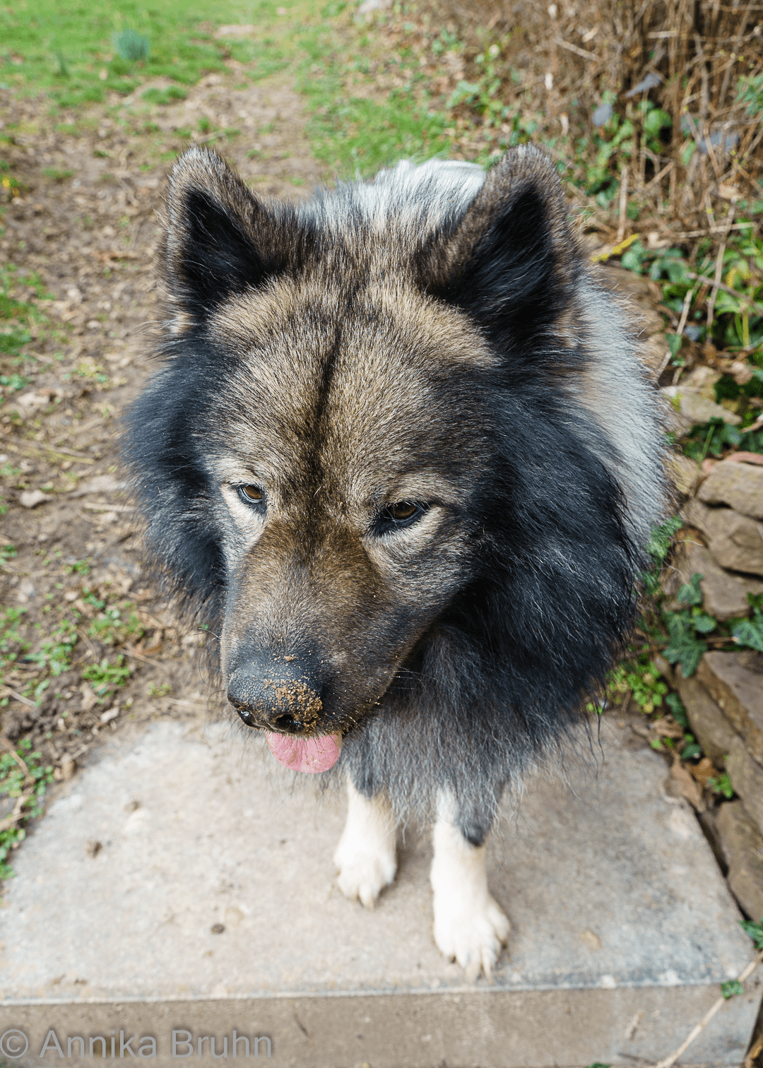 Q mit seiner Sandnase